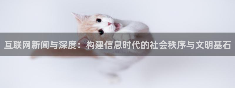 xcsport体育网页