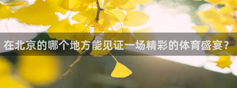 xcadey官网下载