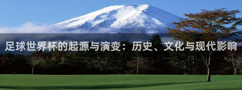 xcsports手机版下载