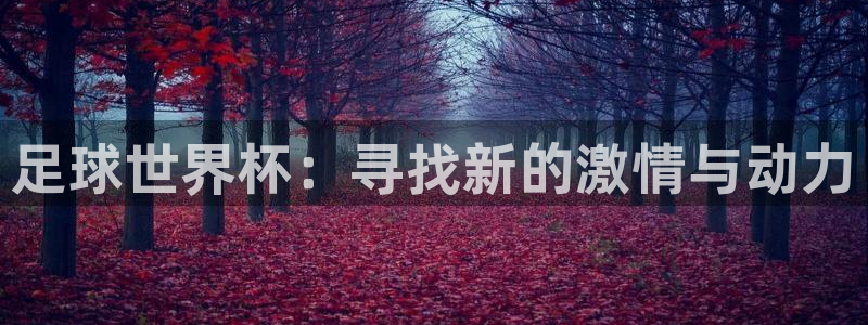s3xxcc官网登录入口