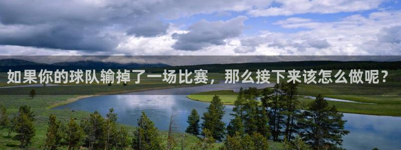 s3xxcc官网登录入口