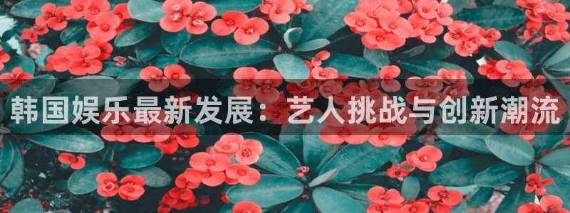 xcsport体育登录