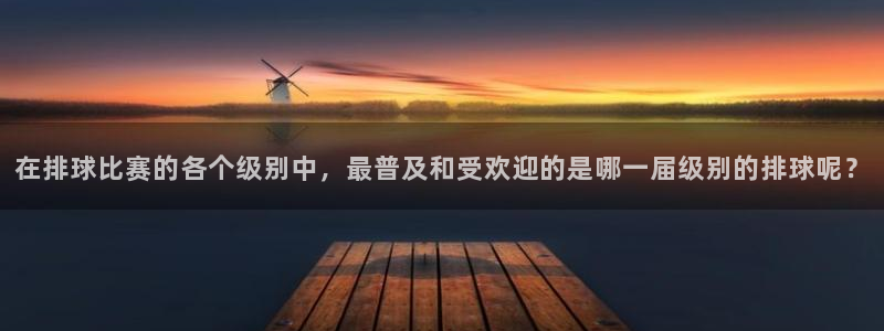xcsports网页版入口