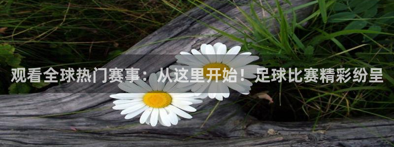 xc8886网页登录入口